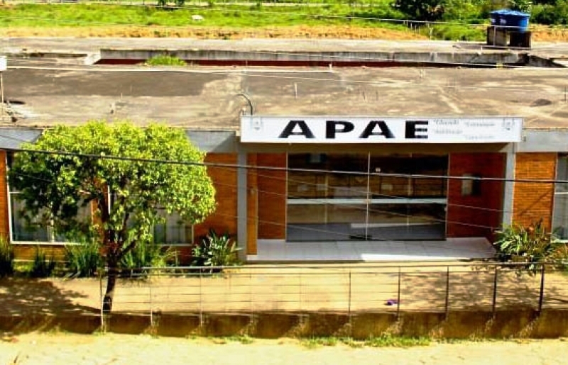 APAE MIRAI